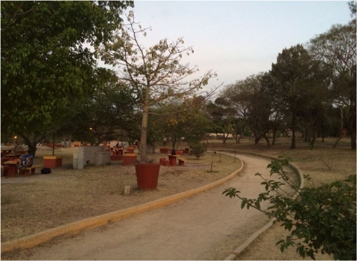 Sendero por donde corren los vecinos en el área de Parques y Jardines en Huentitán