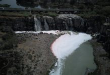 Un Waze para monitorear el Río Santiago en tiempo real